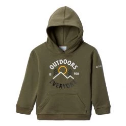 Toddler Columbia Basin Park Graphic Hoodie Stone Green
