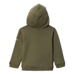 Toddler Columbia Basin Park Graphic Hoodie Stone Green -Columbia popular shop unnamed file 1521