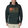 Men's Columbia PHG Game Flag II Hoodie Dark Forest