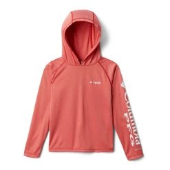 Boys' Columbia PFG Terminal Tackle Hooded Long Sleeve Shirt Cool Grey/vivid Blue Logo